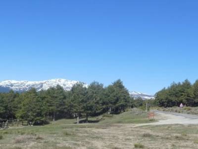Perdiguera (El Marraz) - Altos de la Morcuera; pueblos abandonados de madrid bosque en madrid rutas 